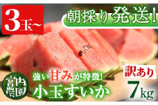 【0205002a】＜訳あり＞朝採り発送！小玉すいか(3玉以上・計7kg)果物 果実 フルーツ スイカ 数量限定 期間限定【宮内農園】
