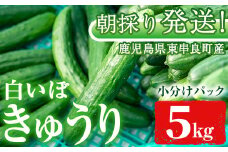 【0113906a】牧内農園の白いぼきゅうり(計5kg・小分けパック) 野菜 やさい サラダ 胡瓜 キュウリ 漬物 ピクルス 小分け 大容量 期間限定【牧内農園】