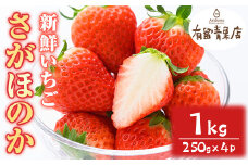【0113605a】自慢の農家×老舗青果店の新鮮いちご・さがほのか(250g以上×4P) イチゴ 苺 フルーツ 果物 果実 数量限定 期間限定【有留青果】