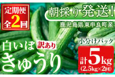 【0123904b】＜訳あり＞＜定期便・全2回(11月・1月)＞愛情たっぷり！牧内農園の白いぼきゅうり(2.5kg×2回) 不揃い 規格外 野菜 やさい 旬 新鮮 サラダ キュウリ 胡瓜【牧内農園】