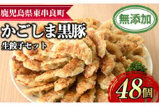 【0125122a】鹿児島黒豚生餃子セット(12個入×4パック・計48個)黒豚 豚肉 ぶた肉 餃子 ギョウザ ぎょうざ 惣菜【鹿児島ますや】