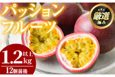 【1005301a】ゆきちゃん農園のパッションフルーツ(1.2kg以上) フルーツ 果物 果実 1キロ 期間限定【ゆきちゃん農園】