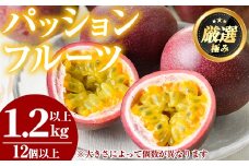 【0105302a】ゆきちゃん農園のパッションフルーツ(1.2kg以上) フルーツ 果物 果実 1キロ 期間限定【ゆきちゃん農園】
