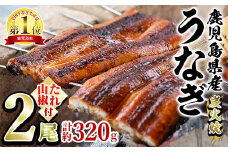 【0174319a】東串良町のうなぎ炭火蒲焼(無頭)(2尾・計約320g・タレ、山椒付) うなぎ 高級 ウナギ 鰻 国産 蒲焼 蒲焼き たれ 鹿児島 ふるさと 人気【アクアおおすみ】