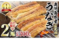 【0174320a】東串良町のうなぎ炭火白焼(無頭)(2尾・計約300g・タレ、山椒付) うなぎ 高級 ウナギ 鰻 国産 白焼き 鹿児島 ふるさと 人気【アクアおおすみ】