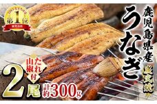 【0174321a】東串良町のうなぎ炭火蒲焼、白焼(無頭)(2尾・計約300g・タレ、山椒付) うなぎ 高級 ウナギ 鰻 国産 白焼き 鹿児島 ふるさと 人気【アクアおおすみ】
