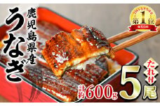 【0244311a】並サイズの満足感！東串良町のうなぎ蒲焼(無頭)(5尾・計約600g・タレ、山椒付)うなぎ 高級 ウナギ 鰻 国産 蒲焼 蒲焼き たれ 鹿児島 ふるさと 人気【アクアおおすみ】