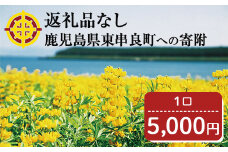 【0054601a】＜返礼品なし＞鹿児島県本土でいちばん小さな町「東串良町」への寄附(1口：5,000円)