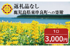【0034601a】＜返礼品なし＞鹿児島県本土でいちばん小さな町「東串良町」への寄附(1口：3,000円)