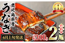 【0124314a-2506】＜6月上旬発送予定＞東串良町のうなぎ蒲焼(無頭)(2尾・計約300g・タレ、山椒付) うなぎ 高級 ウナギ 鰻 国産 蒲焼 蒲焼き たれ 鹿児島 ふるさと 人気【アクアおおすみ】