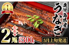 【13027-2405】＜5月上旬発送予定＞東串良町のうなぎ蒲焼(無頭)(2尾・計約300g・タレ、山椒付)うなぎ 高級 ウナギ 鰻 国産 蒲焼 蒲焼き たれ 鹿児島 ふるさと 人気【アクアおおすみ】