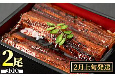 【13027-2402】＜2月上旬発送予定＞東串良町のうなぎ蒲焼(無頭)(2尾・計約300g・タレ、山椒付)うなぎ 高級 ウナギ 鰻 国産 蒲焼 蒲焼き たれ 鹿児島 ふるさと 人気【アクアおおすみ】