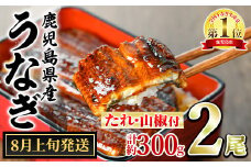 【0124314a-2508】＜8月上旬発送予定＞東串良町のうなぎ蒲焼(無頭)(2尾・計約300g・タレ、山椒付) うなぎ 高級 ウナギ 鰻 国産 蒲焼 蒲焼き たれ 鹿児島 ふるさと 人気【アクアおおすみ】