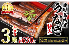 【0234303a-F2406】＜父の日までにお届け＞東串良町のうなぎ蒲焼(無頭)(3尾・計約630g・タレ、山椒付)うなぎ 高級 ウナギ 鰻 国産 蒲焼 蒲焼き たれ 鹿児島 ふるさと 人気【アクアおおすみ】