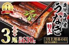 【0234303a-2507】＜土用丑の日までにお届け＞東串良町のうなぎ蒲焼(無頭)(3尾・計約630g・タレ、山椒付) 丑の日 土用丑の日 うなぎ 高級 ウナギ 鰻 国産 蒲焼 蒲焼き たれ 鹿児島 ふるさと 人気【アクアおおすみ】
