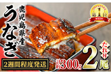 【0124314a-2W】＜2週間程度発送＞東串良町のうなぎ蒲焼(無頭)(2尾・計約300g・タレ、山椒付)うなぎ 高級 ウナギ 鰻 国産 蒲焼 蒲焼き たれ 鹿児島 ふるさと 人気【アクアおおすみ】