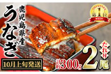 【0124326a-2510】＜10月上旬発送予定＞東串良町のうなぎ蒲焼(無頭)(2尾・計約300g・タレ、山椒付) うなぎ 高級 ウナギ 鰻 国産 蒲焼 蒲焼き たれ 鹿児島 ふるさと 人気【アクアおおすみ】