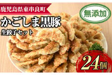【0095119a】鹿児島黒豚生餃子セット(12個入×2パック・計24個)黒豚 豚肉 ぶた肉 餃子 ギョウザ ぎょうざ 惣菜【鹿児島ますや】