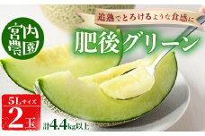 【0165004a】高級メロン 肥後グリーン5L(2玉・計4.4kg以上) 果物 果実 フルーツ メロン 数量限定 期間限定【宮内農園】