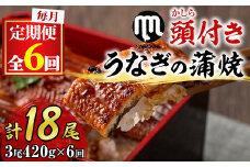 【108903b】＜定期便・全6回＞大隅産うなぎの蒲焼 (計約2520g(約140g×3尾)×6回・有頭) うなぎ 高級 ウナギ 鰻 国産 蒲焼 蒲焼き たれ 鹿児島【永峯うなぎ店】