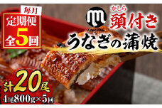 【150904b】＜定期便・全5回＞大隅産うなぎの蒲焼 (計約4000g(約200g×4尾)×5回・有頭) うなぎ 高級 ウナギ 鰻 国産 蒲焼 蒲焼き たれ 鹿児島【永峯うなぎ店】