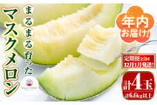 【0432211b】＜定期便・全2回(12月・1月)＞年内お届け！まるまる育ったマスクメロン(2玉×2回・計6.6kg以上) マスクメロン フルーツ 果物 果実 6キロ 数量限定 期間限定 【まる美園芸組合】