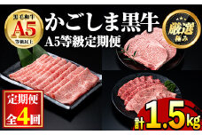 【0781705b】＜定期便・全3回(2月・3月・4月発送)＞鹿児島県産黒毛和牛！A5等級定期便(ロースのうすぎり 約500g・サーロインステーキ 約500g・焼肉用厚切り 約500g) 国産 牛肉 肉 もも肉 赤身 カルビ 鹿児島 BBQ しゃぶしゃぶ すき焼き【前田畜産たかしや】