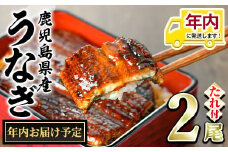 【0124314a-2412】＜年内にお届け予定＞東串良町のうなぎ蒲焼(無頭)(2尾・計約300g・タレ、山椒付) うなぎ 高級 ウナギ 鰻 国産 蒲焼 蒲焼き たれ 鹿児島 ふるさと 人気【株式会社アクアおおすみ】