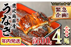 【0234317a】【緊急企画！数量限定】鰻の蒲焼(無頭)(4尾・計約600g・タレ、山椒付) うなぎ ウナギ 鰻 国産 蒲焼 蒲焼き たれ 鹿児島 ふるさと 人気 支援【アクアおおすみ】