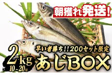 【0193206a】＜数量限定＞鮮度が命！鮮魚問屋が厳選した『早い者勝ち！！200個限定あじBOX』(10～20尾・総量2kg) アジ 鯵 魚 魚介類 鮮魚 海鮮 煮つけ 塩焼き フライ【江川商店】