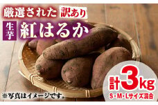 【0095921a】＜訳あり＞物産館おすすめ！厳選された紅はるか(生芋・計3kg) 生芋 焼芋 焼き芋 やきいも さつまいも さつま芋 スイーツ 期間限定 【東串良物産館ルピノンの里】