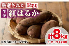 【0135922a】＜訳あり＞物産館おすすめ！厳選された紅はるか(生芋・計8kg) 生芋 焼芋 焼き芋 やきいも さつまいも さつま芋 スイーツ 期間限定 【東串良物産館ルピノンの里】