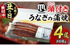【30605-2507】＜丑の日までにお届け！＞大隅産うなぎの蒲焼＜計約800g(約200g×4尾＞ うなぎ 高級 ウナギ 鰻 国産 蒲焼 蒲焼き たれ 鹿児島 【永峯うなぎ店】