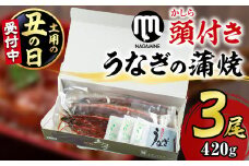 【18720-2507】＜丑の日までにお届け！＞大隅産うなぎの蒲焼(有頭)＜計約420g(約140g×3尾)＞ うなぎ 高級 ウナギ 鰻 国産 蒲焼 蒲焼き たれ 鹿児島 【永峯うなぎ店】