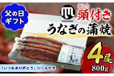 【30605-F】＜父の日ギフト＞大隅産うなぎの蒲焼＜計約800g(約200g×4尾＞ うなぎ 高級 ウナギ 鰻 国産 蒲焼 蒲焼き たれ 鹿児島 【永峯うなぎ店】
