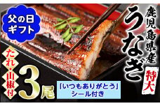 【0234303a-F】＜父の日ギフト＞東串良町のうなぎ蒲焼(無頭)(3尾・計約630g・タレ、山椒付) うなぎ 高級 ウナギ 鰻 国産 蒲焼 蒲焼き たれ 鹿児島 ふるさと 人気 父の日 ギフト 贈り物 プレゼント 【アクアおおすみ】