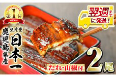 【0124314a-1W】＜翌週までに発送＞東串良町のうなぎ蒲焼(無頭)(2尾・計約300g・タレ、山椒付)うなぎ 高級 ウナギ 鰻 国産 蒲焼 蒲焼き たれ 鹿児島 ふるさと 人気【アクアおおすみ】