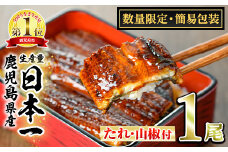 【0074325a】＜数量限定・宅配袋発送＞東串良町のうなぎ蒲焼(無頭)(1尾・約150g・タレ、山椒付) うなぎ 高級 ウナギ 鰻 国産 蒲焼 蒲焼き たれ 鹿児島 ふるさと お試し 【アクアおおすみ】