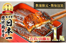 【0074325a】＜数量限定・宅配袋発送＞東串良町のうなぎ蒲焼(無頭)(1尾・約150g・タレ、山椒付) うなぎ 高級 ウナギ 鰻 国産 蒲焼 蒲焼き たれ 鹿児島 ふるさと お試し 【アクアおおすみ】