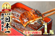 【0074324a】東串良町のうなぎ蒲焼(無頭)(1尾・約150g・タレ、山椒付) うなぎ 高級 ウナギ 鰻 国産 蒲焼 蒲焼き たれ 鹿児島 ふるさと お試し【アクアおおすみ】