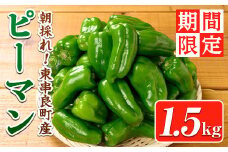 【0085929a】＜期間限定＞物産館おススメ！東串良町産 朝採れピーマン(1.5kg) ピーマン 野菜 やさい ぴーまん 新鮮 常温 常温保存 【東串良物産館ルピノンの里】