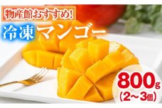 【0105933a】物産館おススメ！東串良町産 丸ごと冷凍マンゴー(計800g・2-3個入り) 果物 フルーツ 果実 デザート 国産 冷凍 ご家庭用 【東串良物産館ルピノンの里】