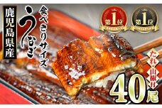 【1434330a】＜食べきりサイズ！＞東串良町のうなぎ蒲焼(無頭)(40尾・計4000g・タレ、山椒付) うなぎ 高級 ウナギ 鰻 国産 蒲焼 蒲焼き たれ 鹿児島 ふるさと 人気 【アクアおおすみ】