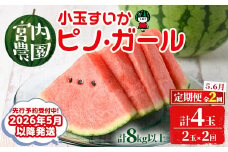 【0325001b】《2026年5月以降発送》＜定期便・全2回＞小玉すいか・ピノ・ガール(2玉×2回・計8kg以上) 果物 果実 フルーツ スイカ ピノガール 数量限定 期間限定 定期便 5月 6月 【宮内農園】