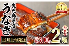 【0124326a-2512】＜12月上旬発送予定＞東串良町のうなぎ蒲焼(無頭)(2尾・計約300g・タレ、山椒付) うなぎ 高級 ウナギ 鰻 国産 蒲焼 蒲焼き たれ 鹿児島 ふるさと 人気 【アクアおおすみ】