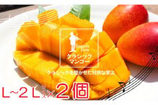 No.1195-4 完熟マンゴー（Ｌ～2Ｌ×2個）