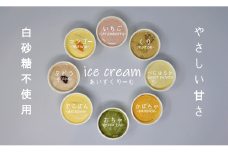 No.1018-1 ご当地アイスセット