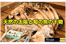 No.1084-1 一代目から続く製法！大満足の旬の干物セット