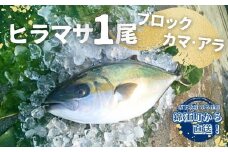 No.1221-3 ふる里館 ヒラマサ１尾セット（ブロック・カマ・アラ）