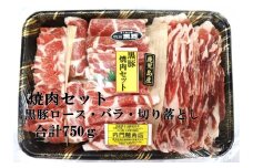 No.1222-1　黒豚焼肉セット